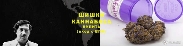 mdpv Волоколамск
