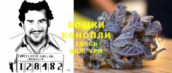 mdpv Волоколамск