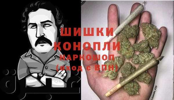 стафф Вязьма