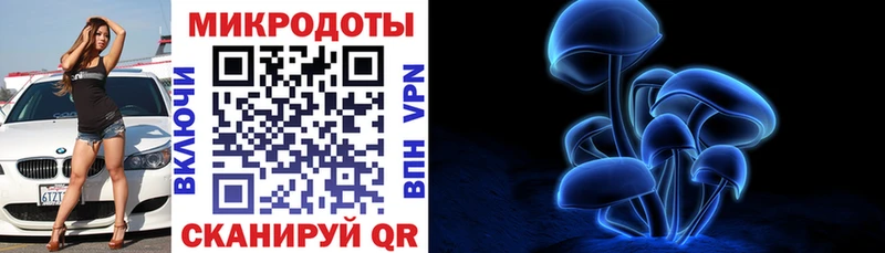 Галлюциногенные грибы Psilocybe  Дно 