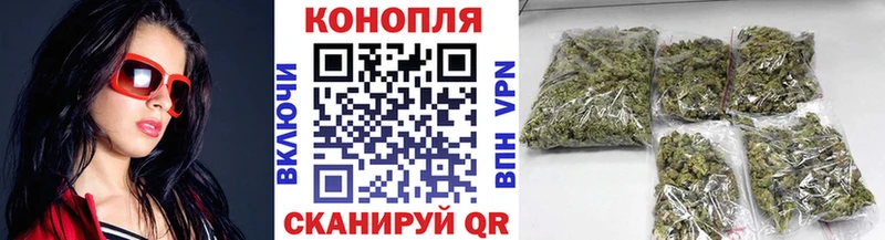 дарнет шоп  Дно  мега вход  Бошки марихуана OG Kush 